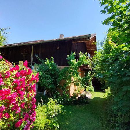 Gemuetliche Ferienwohnung Mit Kamin Und Garten Гарміш-Партенкірхен Екстер'єр фото